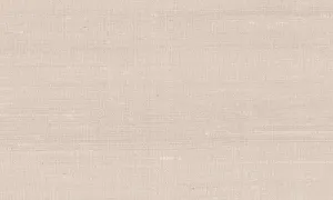 50512A Latus - Bisque
