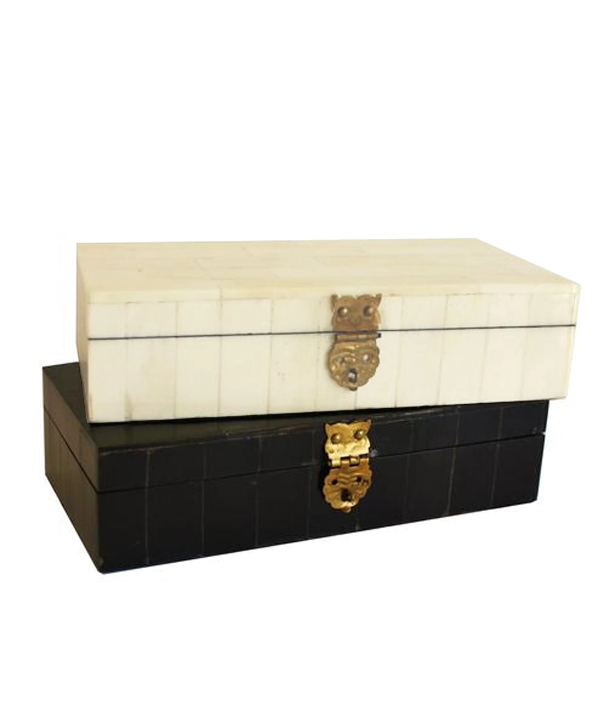 Bone Storage Boxes with Brass Latch