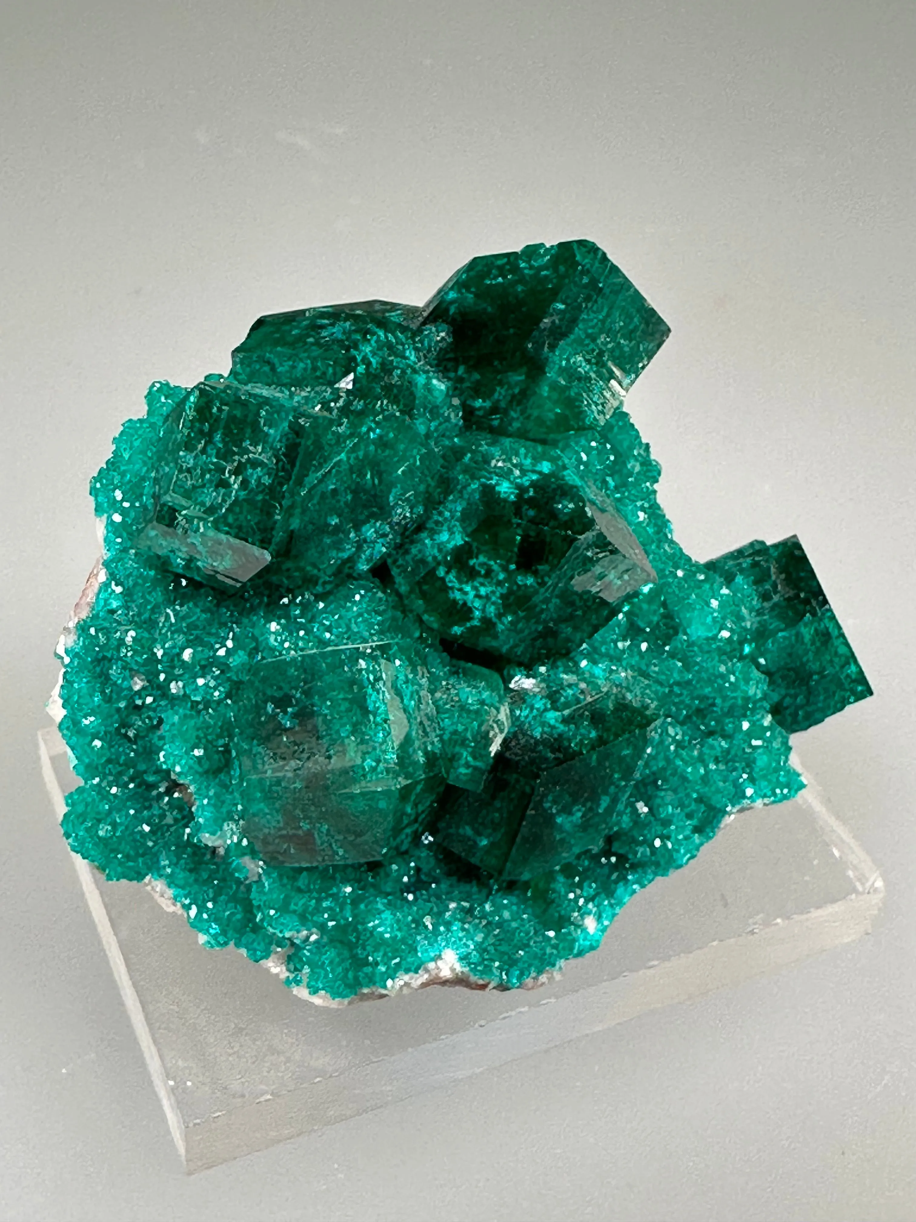Dioptase, Tsumeb Mine, Otjikoto Region, Namibia, Mined c. 1980s, ex. William Mickols Collection, Miniature, 2.0 x 3.0 x 4.0 cm, $450. Online 3/2.