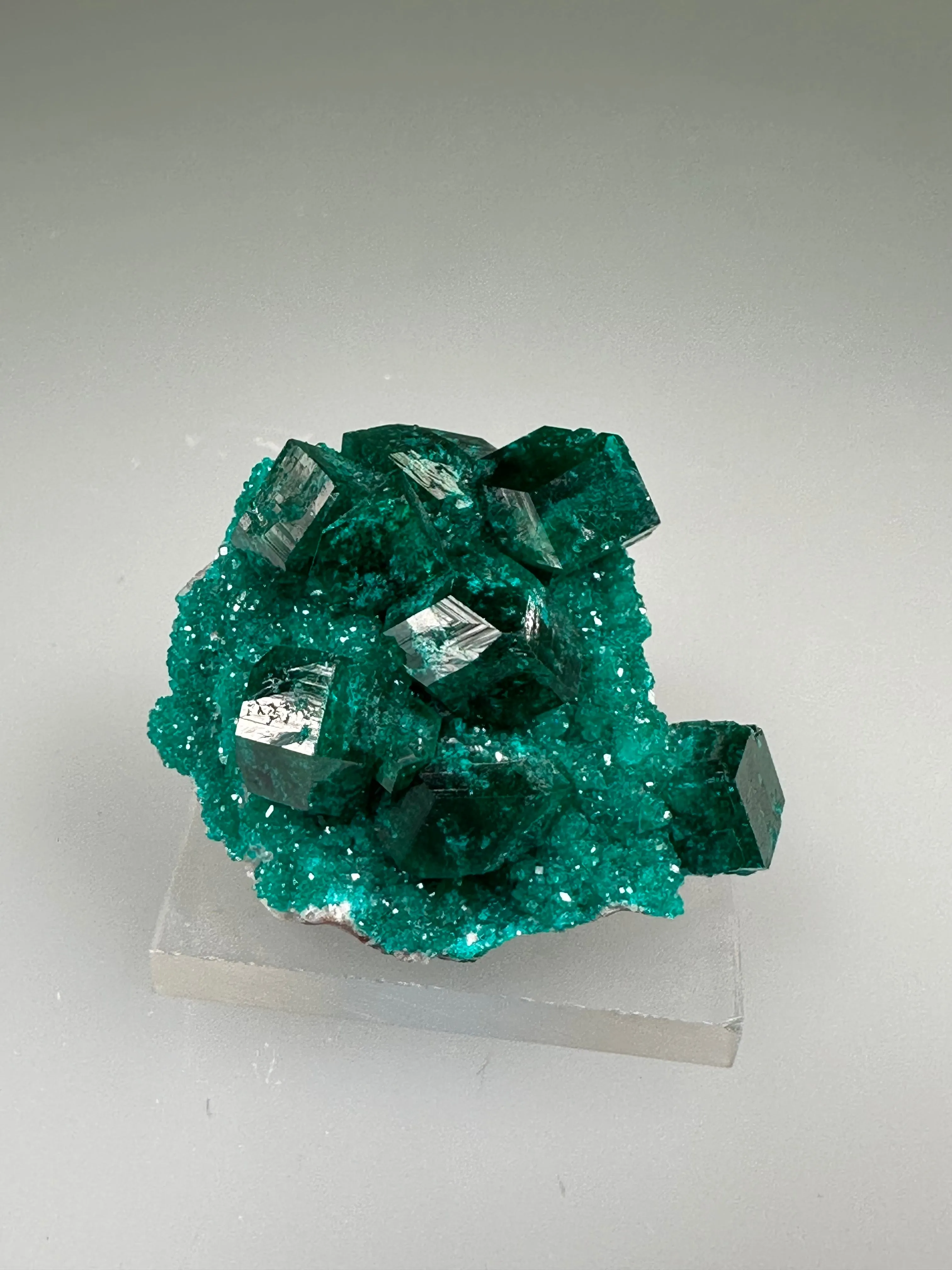 Dioptase, Tsumeb Mine, Otjikoto Region, Namibia, Mined c. 1980s, ex. William Mickols Collection, Miniature, 2.0 x 3.0 x 4.0 cm, $450. Online 3/2.