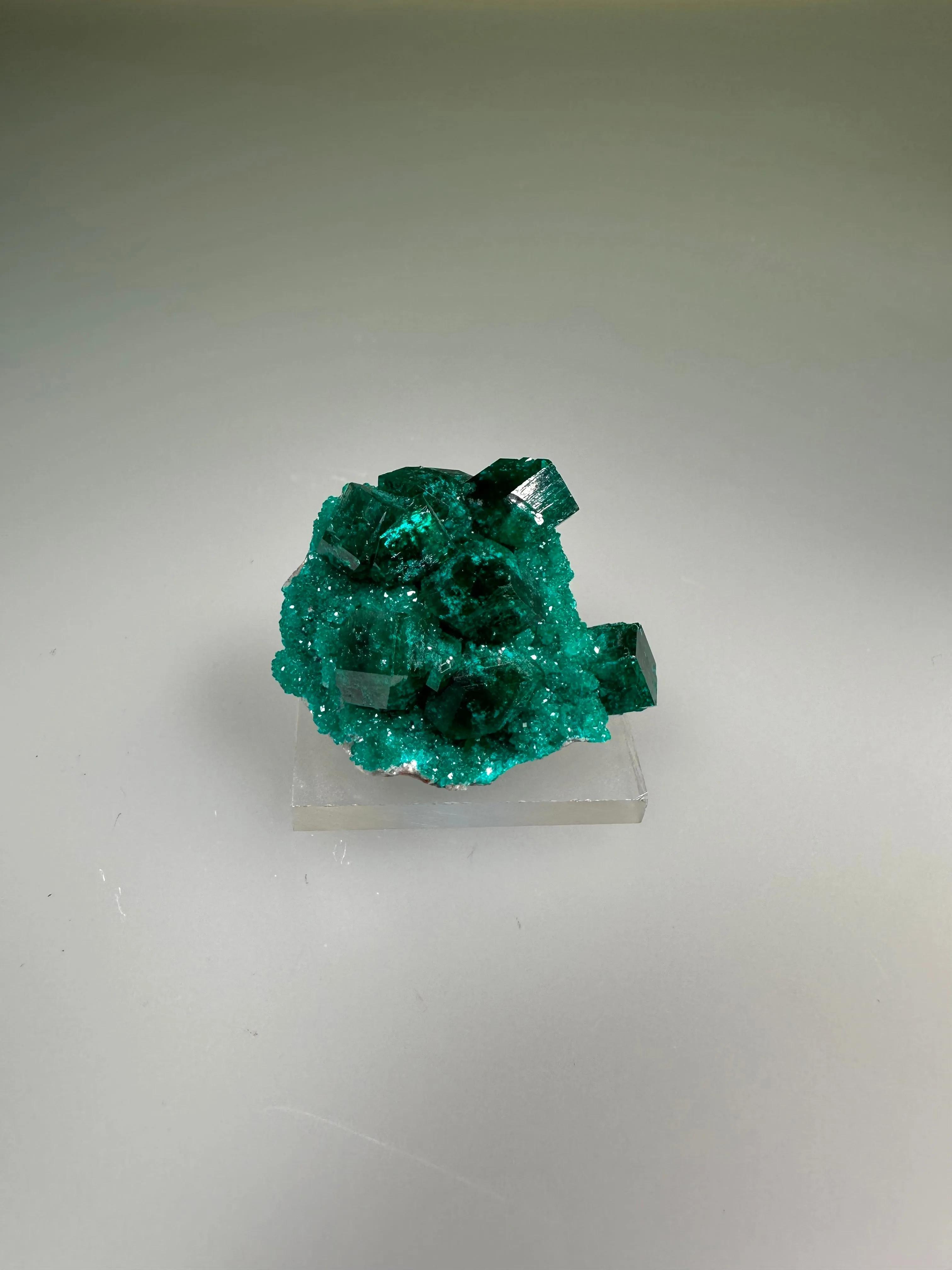 Dioptase, Tsumeb Mine, Otjikoto Region, Namibia, Mined c. 1980s, ex. William Mickols Collection, Miniature, 2.0 x 3.0 x 4.0 cm, $450. Online 3/2.