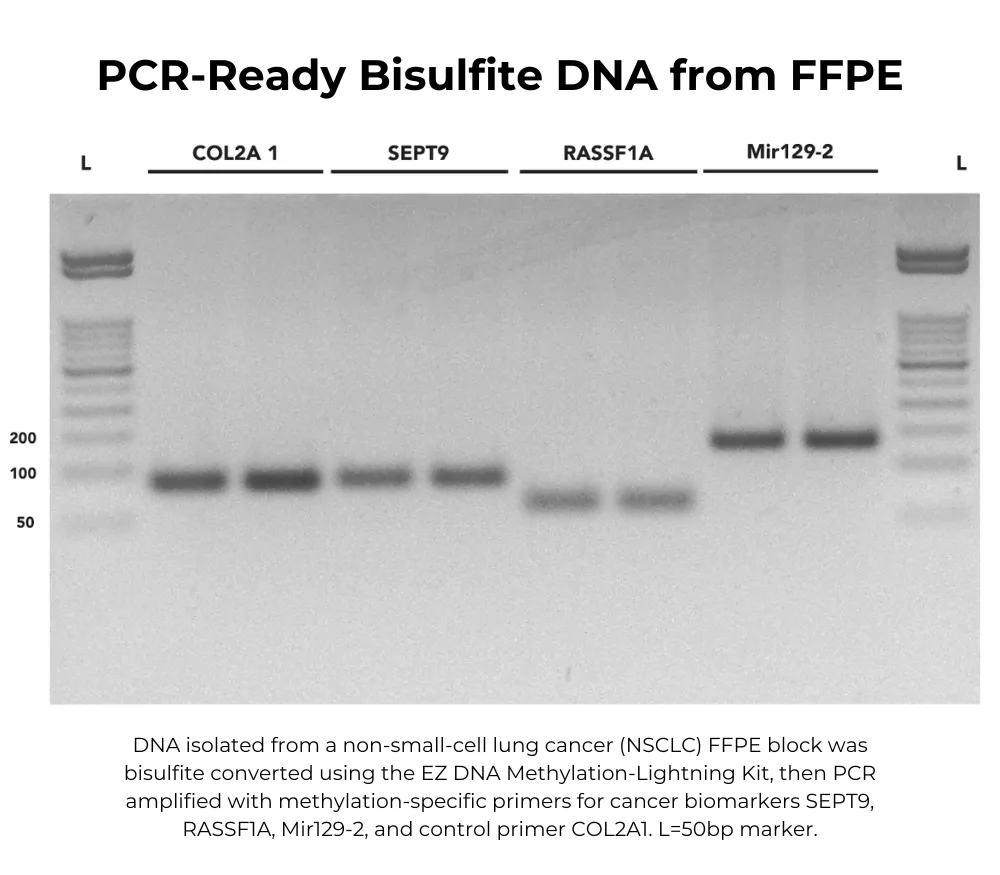 EZ DNA Methylation-Lightning Automation Kit