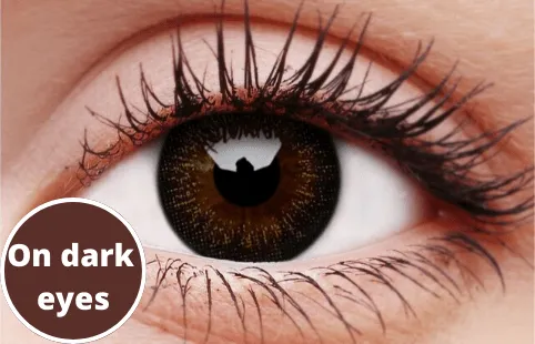 Gorgeous Brown Coloured Contact Lenses