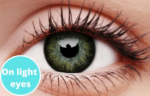 Gorgeous Brown Coloured Contact Lenses