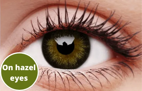 Gorgeous Brown Coloured Contact Lenses