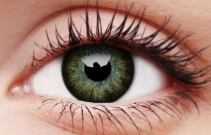 Gorgeous Brown Coloured Contact Lenses