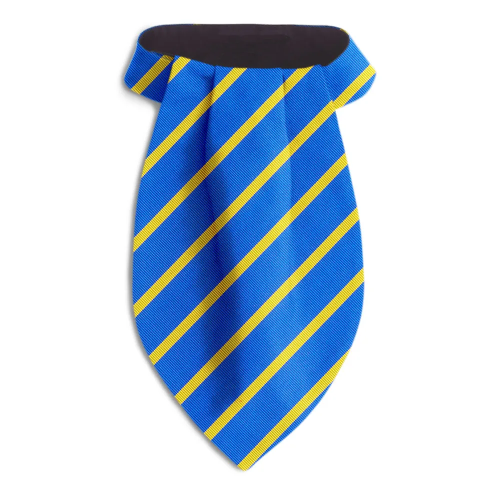 Kyiv - Ascots
