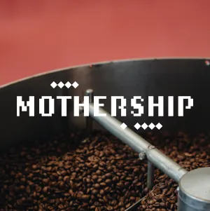 Mothership Blend Subscription - 6 Months - Fortnightly Delivery